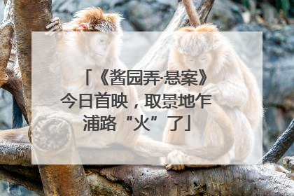 《酱园弄·悬案》今日首映，取景地乍浦路“火”了