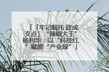 「牢记嘱托 建成支点」“辣椒大王”杨利华：以“科技红”赋能“产业绿”