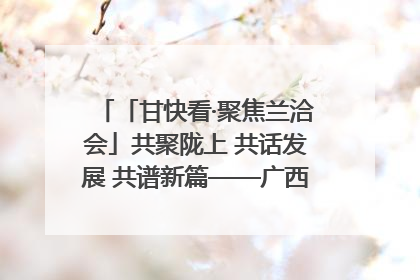 「甘快看·聚焦兰洽会」共聚陇上 共话发展 共谱新篇——广西贵州重点企业“请进来”招商推介会扫描