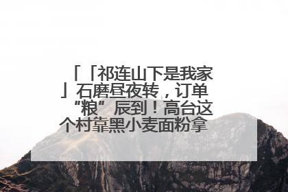 「祁连山下是我家」石磨昼夜转，订单“粮”辰到！高台这个村靠黑小麦面粉拿下成立来最大订单