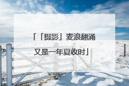 「摄影」麦浪翻涌 又是一年夏收时