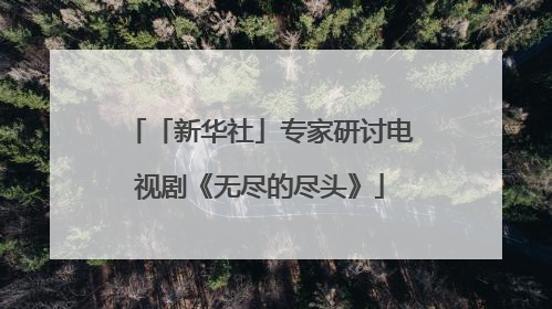 「新华社」专家研讨电视剧《无尽的尽头》