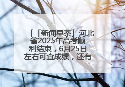 「新闻早茶」河北省2025年高考顺利结束，6月25日左右可查成绩，还有这些热点……