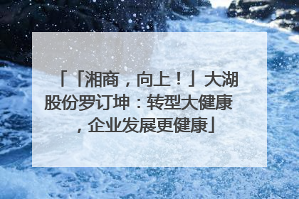 「湘商，向上！」大湖股份罗订坤：转型大健康，企业发展更健康