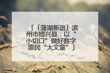 「蒲湖新语」滨州市博兴县：以“小切口”做好数字惠民“大文章”