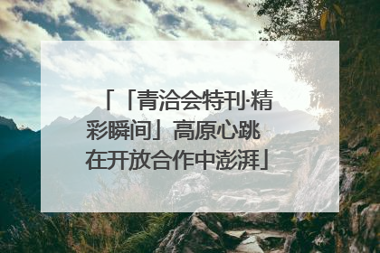 「青洽会特刊·精彩瞬间」高原心跳 在开放合作中澎湃