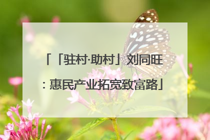 「驻村·助村」刘同旺：惠民产业拓宽致富路