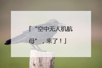 “空中无人机航母”，来了！