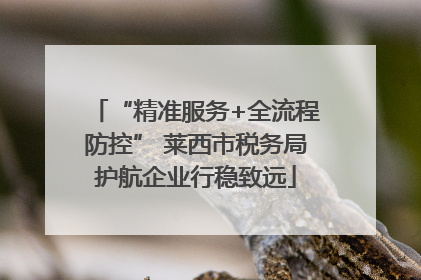 “精准服务+全流程防控” 莱西市税务局护航企业行稳致远