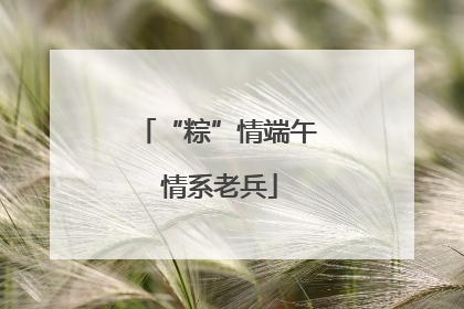 “粽”情端午 情系老兵