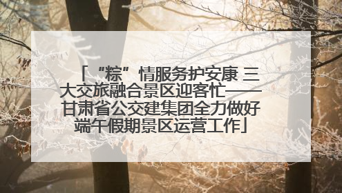 “粽”情服务护安康 三大交旅融合景区迎客忙——甘肃省公交建集团全力做好端午假期景区运营工作