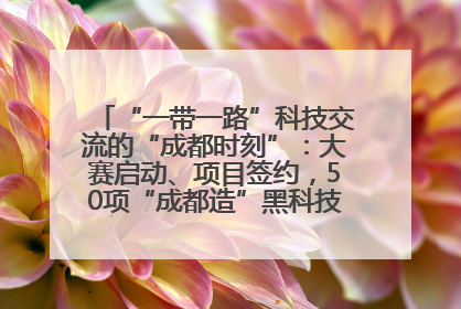 “一带一路”科技交流的“成都时刻”：大赛启动、项目签约，50项“成都造”黑科技吸引多国客商