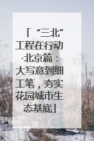 “三北”工程在行动·北京篇：大写意到细工笔，夯实花园城市生态基底