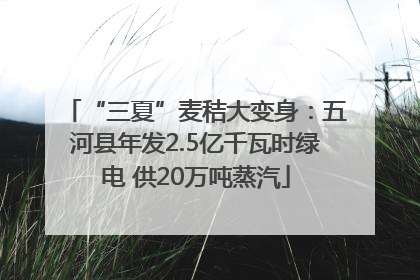 “三夏”麦秸大变身：五河县年发2.5亿千瓦时绿电 供20万吨蒸汽