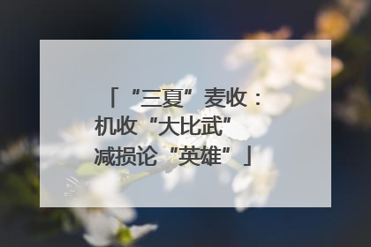 “三夏”麦收：机收“大比武” 减损论“英雄”