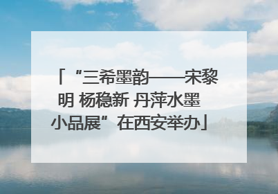 “三希墨韵——宋黎明 杨稳新 丹萍水墨小品展”在西安举办