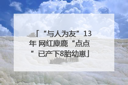 “与人为友”13年 网红麋鹿“点点”已产下8胎幼崽
