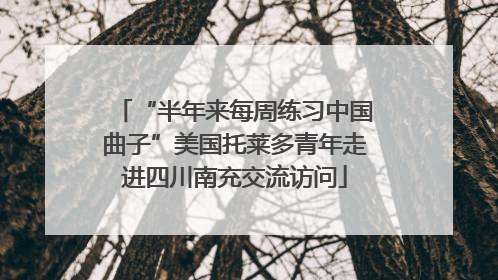 “半年来每周练习中国曲子”美国托莱多青年走进四川南充交流访问