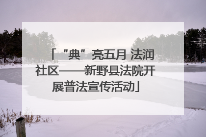 “典”亮五月 法润社区——新野县法院开展普法宣传活动