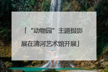 “动物园”主题摄影展在清河艺术馆开展
