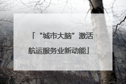 “城市大脑”激活航运服务业新动能
