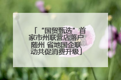“国贸甄选”首家市州联营店落户随州 省地国企联动共促消费升级