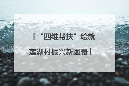 “四维帮扶”绘就莲湖村振兴新图景