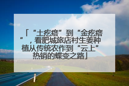 “土疙瘩”到“金疙瘩”，看肥城旅店村生姜种植从传统农作到“云上”热销的蝶变之路