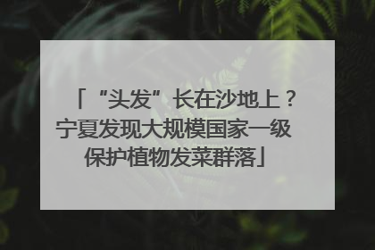 “头发”长在沙地上？宁夏发现大规模国家一级保护植物发菜群落