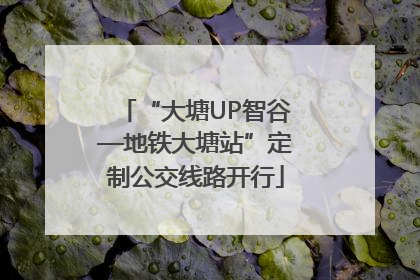 “大塘UP智谷—地铁大塘站”定制公交线路开行