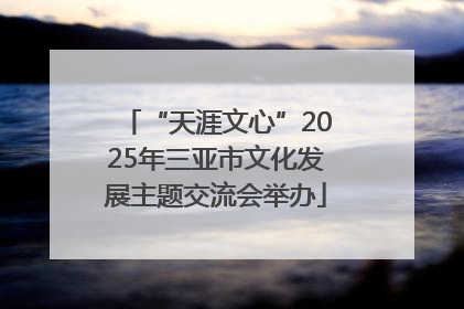 “天涯文心”2025年三亚市文化发展主题交流会举办