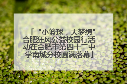 “小篮球，大梦想”合肥狂风公益校园行活动在合肥市第四十二中学南城分校圆满落幕