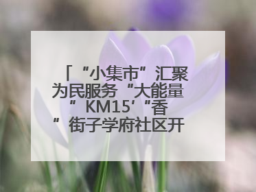 “小集市”汇聚为民服务“大能量”KM15′“香”街子学府社区开集迎端午
