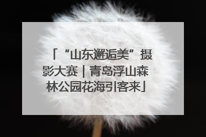 “山东邂逅美”摄影大赛｜青岛浮山森林公园花海引客来