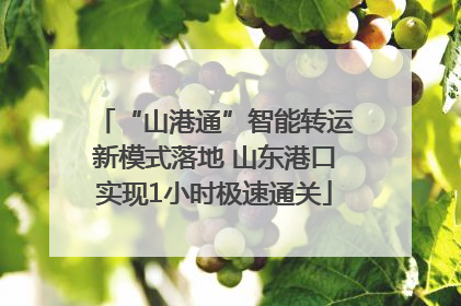 “山港通”智能转运新模式落地 山东港口实现1小时极速通关