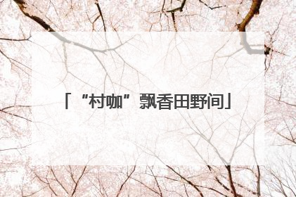 “村咖”飘香田野间