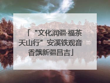 “文化润疆·福茶天山行”安溪铁观音香飘新疆昌吉
