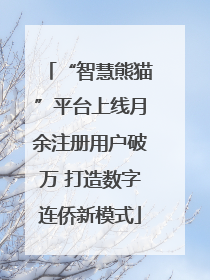 “智慧熊猫”平台上线月余注册用户破万 打造数字连侨新模式