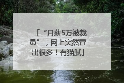 “月薪5万被裁员”，网上突然冒出很多！有猫腻