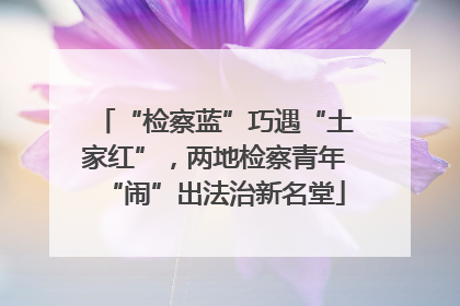 “检察蓝”巧遇“土家红”，两地检察青年“闹”出法治新名堂