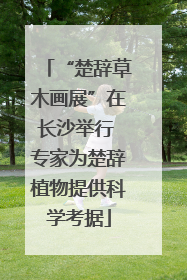 “楚辞草木画展”在长沙举行 专家为楚辞植物提供科学考据