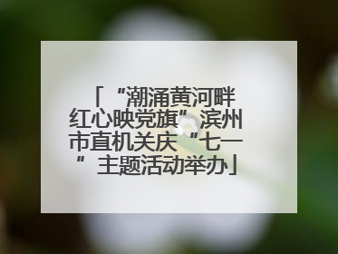“潮涌黄河畔 红心映党旗”滨州市直机关庆“七一”主题活动举办