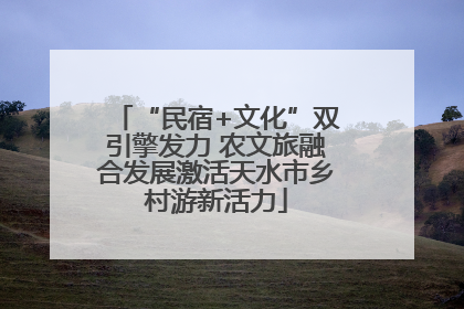 “民宿+文化”双引擎发力 农文旅融合发展激活天水市乡村游新活力