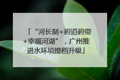 “河长制+碧道碧带+幸福河湖”，广州推进水环境提档升级