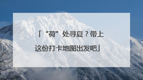 “荷”处寻夏？带上这份打卡地图出发吧