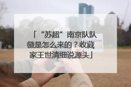 “苏超”南京队队徽是怎么来的？收藏家王世清细说源头