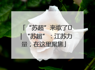 “苏超”来歌了⑪｜“苏超”：江苏力量，在这里聚焦