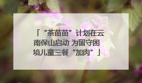 “茶苗苗”计划在云南保山启动 为留守困境儿童三餐“加肉”
