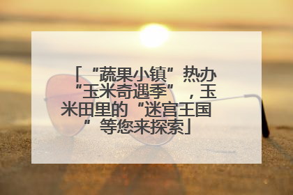 “蔬果小镇”热办“玉米奇遇季”，玉米田里的“迷宫王国”等您来探索