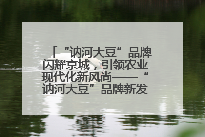 “讷河大豆”品牌闪耀京城，引领农业现代化新风尚——“讷河大豆”品牌新发地推介会圆满落幕